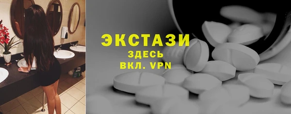 сатива Сатка