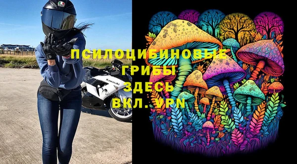 молекула духа Алзамай